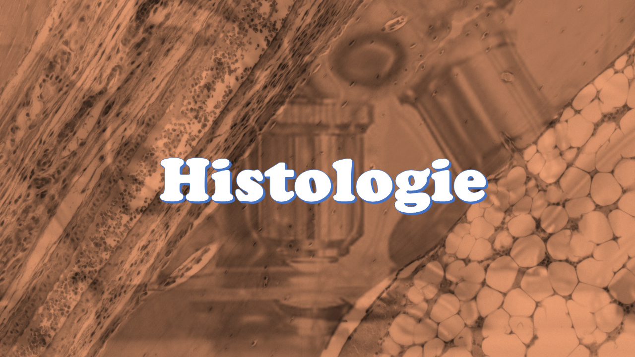 Cours d'Histologie